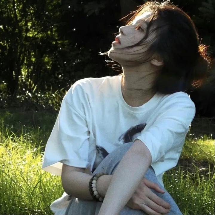 明月山海揽芳华海报